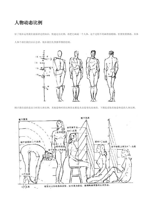 人物动态比例