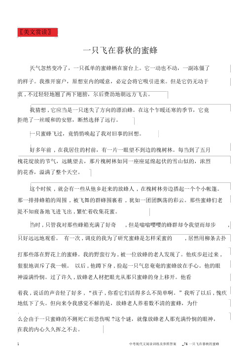 中考现代文阅读训练及参考答案_76一只飞在深秋的蜜蜂