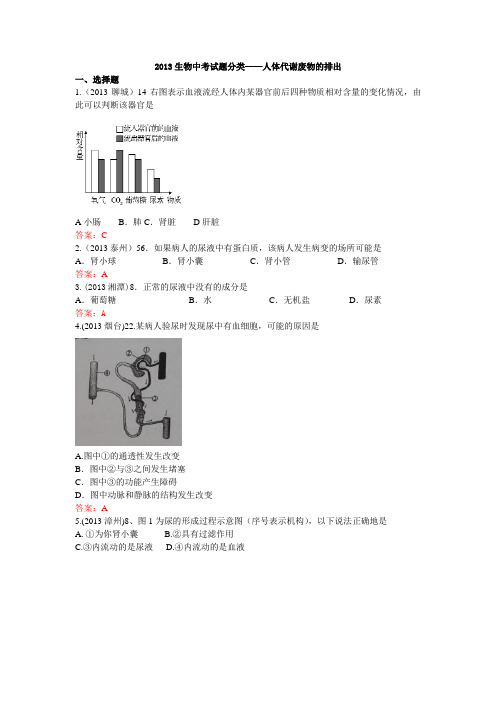 2013生物中考试题分类——人体代谢废物的排出