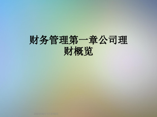 财务管理第一章公司理财概览