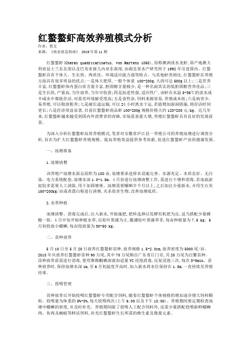 红螯螯虾高效养殖模式分析