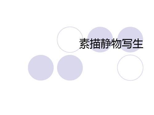 素描静物写生