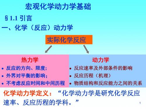 2013化学竞赛辅导-反应机理和表面反应动力学