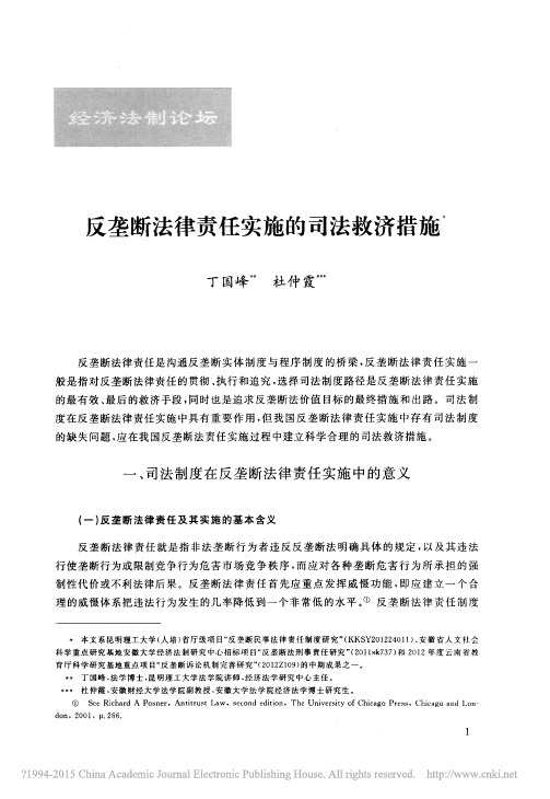 丁国峰：反垄断法律责任实施的司法救济措施_丁国峰