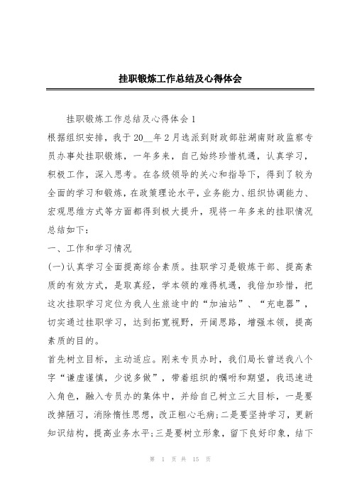 挂职锻炼工作总结及心得体会