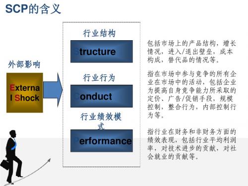 未来几年中国的证券市场调查完整版