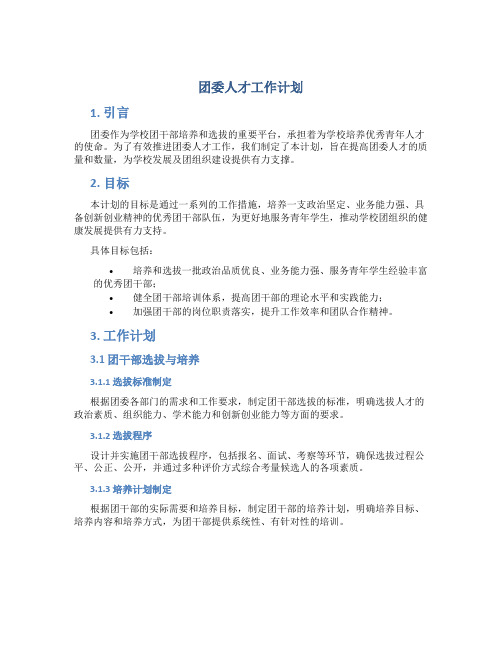 团委人才工作计划