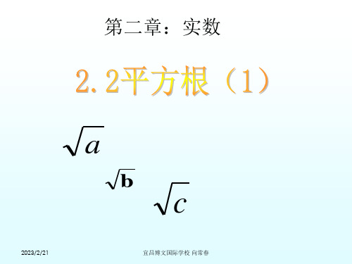 平方根    北师大版数学八年级上册