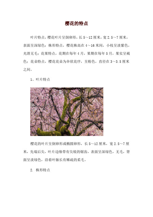 樱花的特点