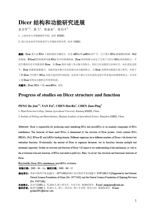 Dicer结构和功能研究进展