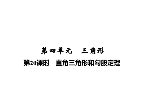 2020届中考数学总复习讲义课件：第四单元  第20课时 直角三角形和勾股定理