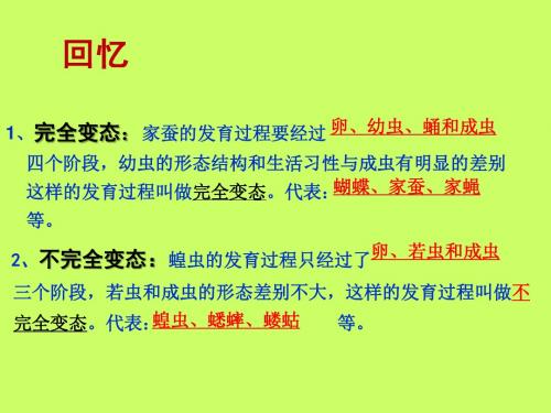 人教版八年级下册生物第七单元第一章第三节两栖动物的生殖和发育共17张PPT