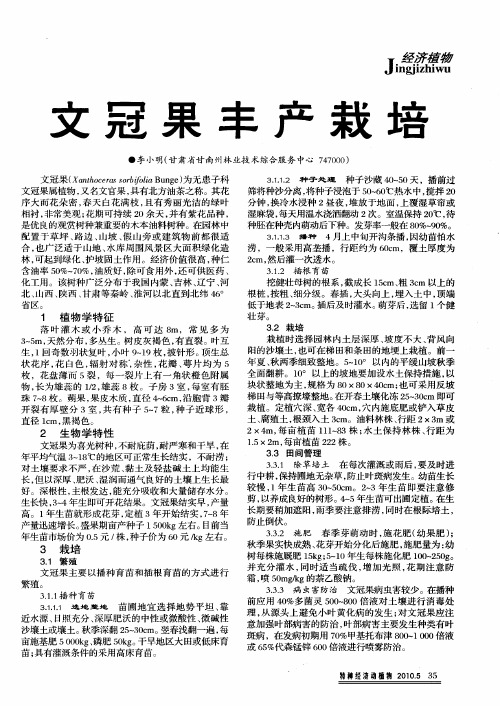 文冠果丰产栽培