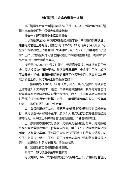 部门清理小金库自查报告2篇