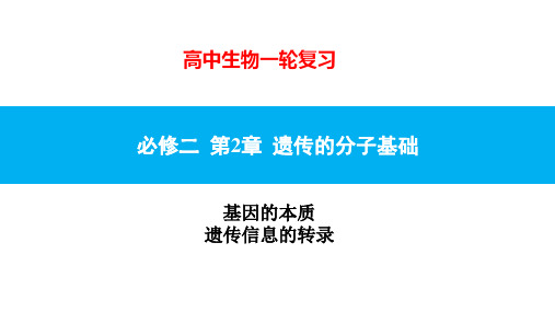 基因的本质和表达 基因的本质 遗传信息的转录 课件 2021届高三生物高考一轮复习