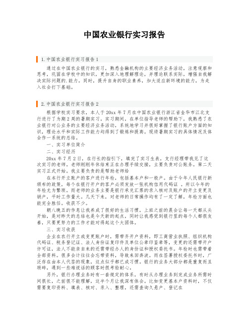 中国农业银行实习报告