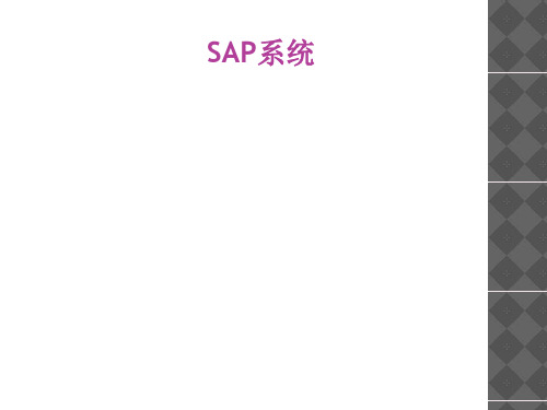 SAP系统简介(PPT 38张)