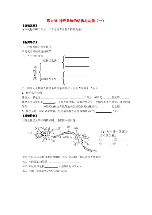 高中生物《神经系统的结构与功能》学案1 浙教版必修3