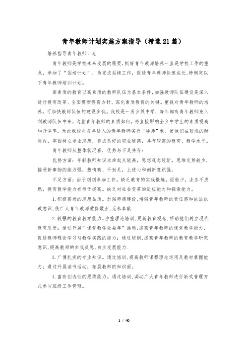 青年教师计划实施方案指导(精选21篇)