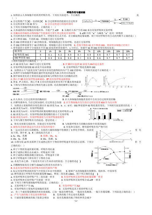 呼吸作用练习题