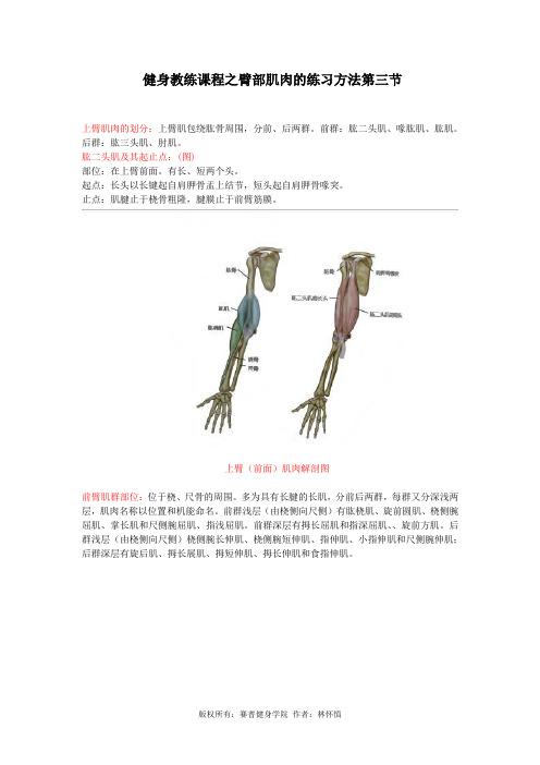 健身教练课程之臂部肌肉的练习方法第三节