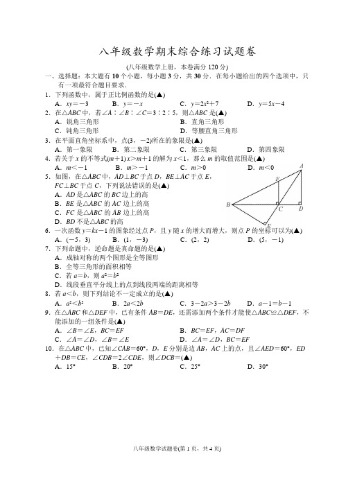 浙江省杭州地区2019-2020学年第一学期八年级数学期末综合练习试题