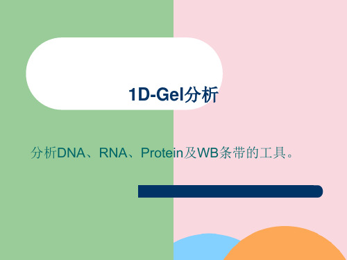 赛智凝胶成像使用说明2022年精选ppt