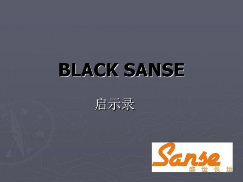 BLACK SANSE启示录 (NXPowerLite)