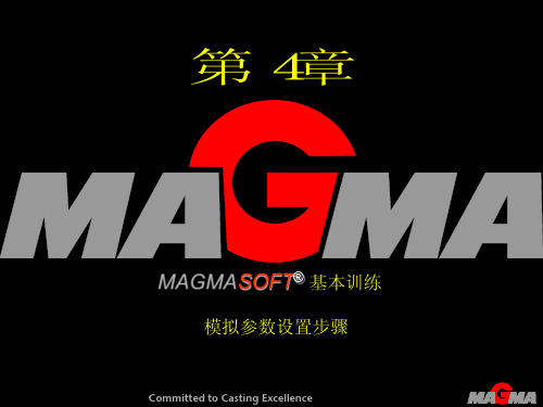 第4章MAGMA模拟参数设置步骤