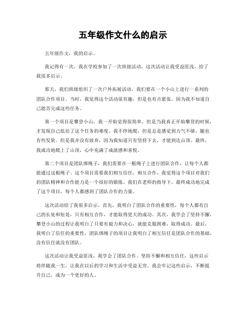 五年级作文什么的启示