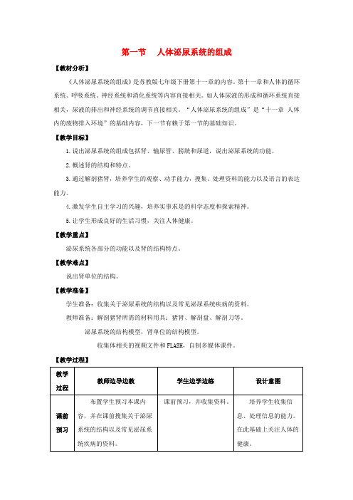 七年级生物下册 11.1《人体泌尿系统的组成》教案 (新版)苏教版