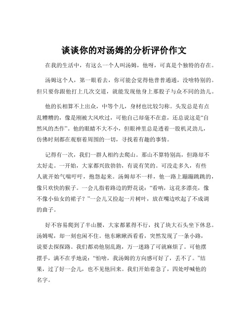 谈谈你的对汤姆的分析评价作文