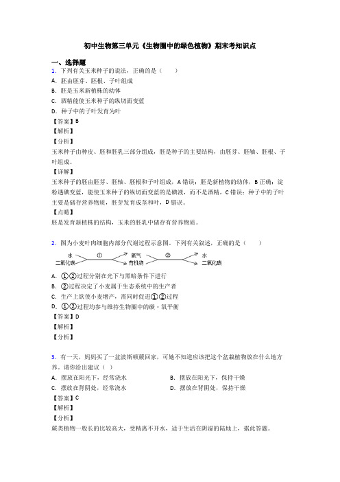 初中生物第三单元《生物圈中的绿色植物》期末考知识点