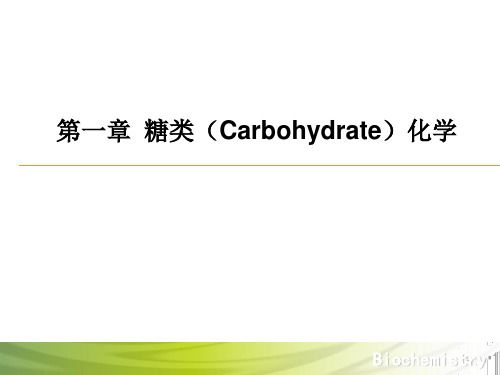 糖类化学PPT精选文档