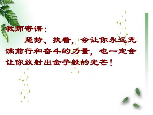 鲁教版化学九年级下册第一节《常见的金属材料》课件