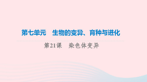 2023版高考生物一轮总复习第7单元生物的变异育种与进化第21课染色体变异课件