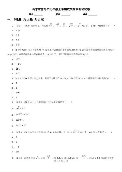 山东省青岛市七年级上学期数学期中考试试卷