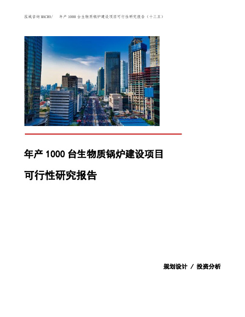 年产1000台生物质锅炉建设项目可行性研究报告(十三五)