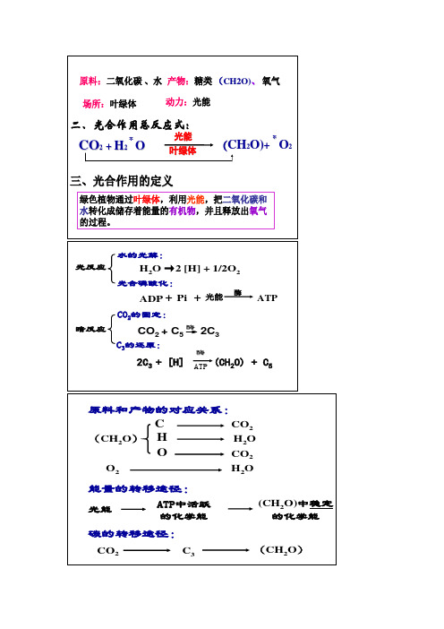 光合作用复习