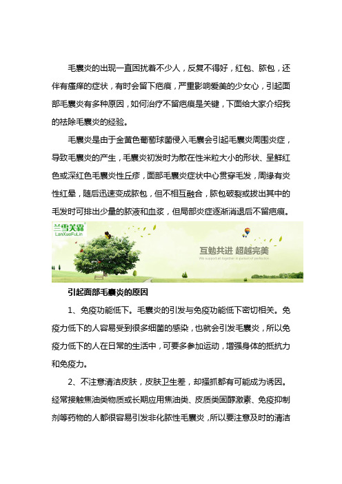 面部毛囊炎造成红疹痘痘粉刺应该用什么软膏涂抹恢复？