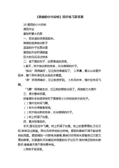 《美丽的小兴安岭》同步练习及答案