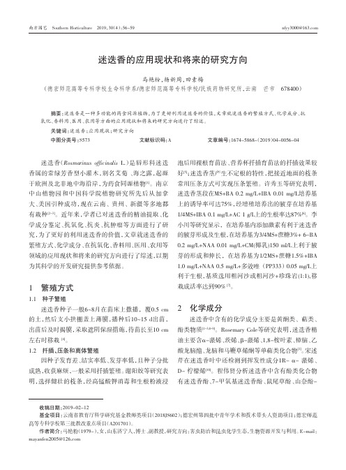 迷迭香的应用现状和将来的研究方向