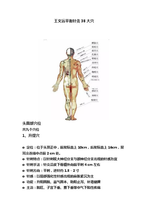 王文远平衡针灸38大穴