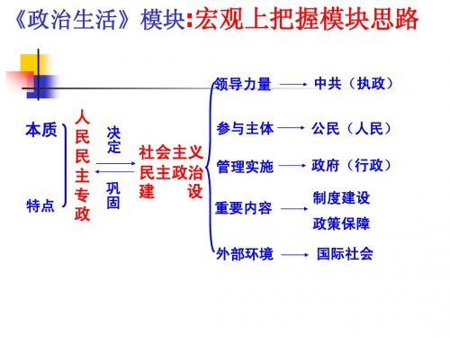 新2015高17、22班政治生活第一单元一轮复习(施跃国)