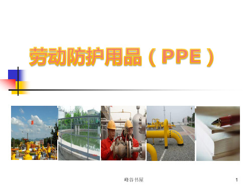 劳动防护用品(PPE)知识培训课件[行业分析]