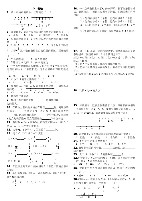 数轴与相反数练习精编(手编)