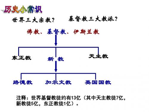 第13课挑战教皇的权威2015