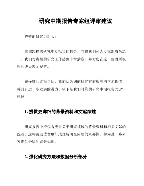 研究中期报告专家组评审建议