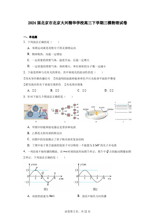 2024届北京市北京大兴精华学校高三下学期三模物理试卷