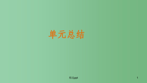 高中政治 第一单元  公民的政治生活单元总结课件 新人教版必修2